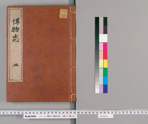 Miscellaneous Records, Volume 10, Continuation Volume 10 [2]