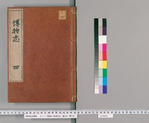 Miscellaneous Records of Marvels, 10 Volumes; Continuation, 10 Volumes [4]