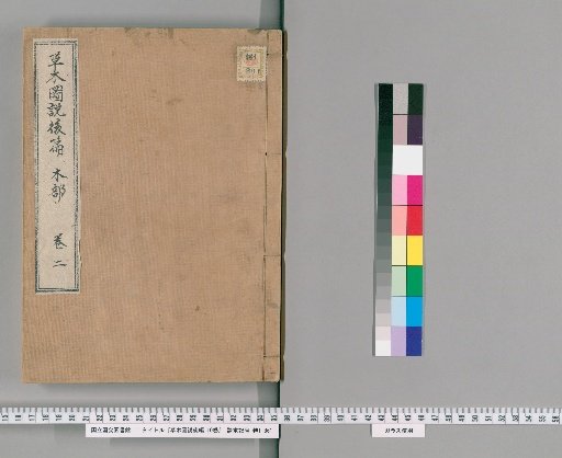Illustrated Treatise on Plants and Trees, Part 2, 10 Volumes [2]