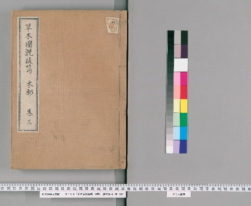 Illustrated Treatise on Plants and Trees, Part 2, 10 Volumes [3]