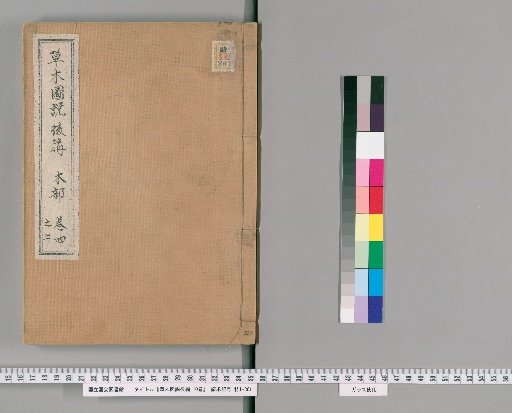 Illustrated Treatise on Plants and Trees, Part 2, 10 Volumes [4]