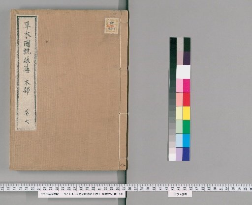 Illustrated Treatise on Plants and Trees, Part 2, 10 Volumes [8]