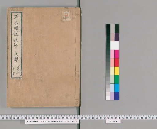 Illustrated Treatise on Plants and Grasses, Part 2, 10 Volumes [13]