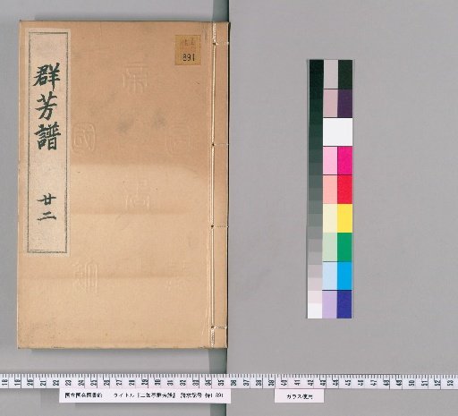 Nijōtei Gunpōfu [22]