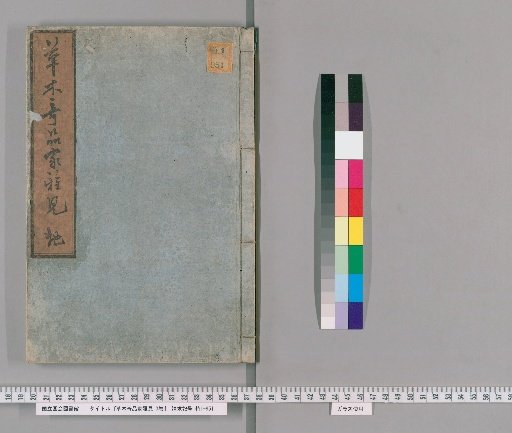 Strange and Elegant Plants: A Family Collection, Vol. 3 [2]