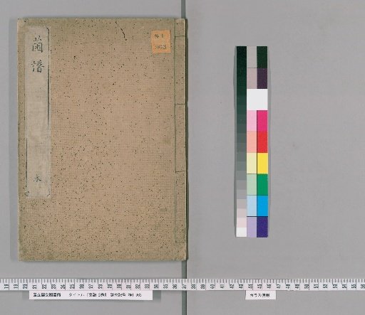Treatise on Mushrooms, 2 volumes [1]