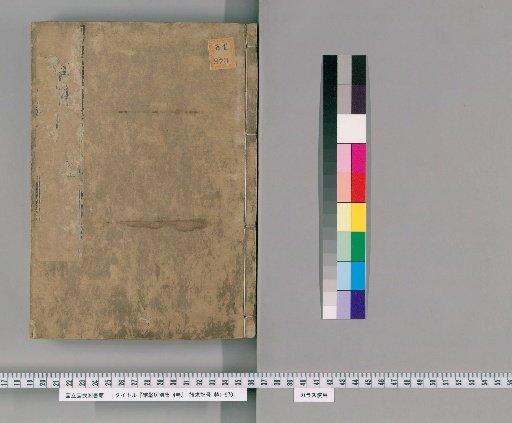 Bencao Gangmu, 52 Volumes, 1 Volume of Illustrations, plus Bieji 4 Volumes and Bencao Tu 4 Volumes [2]