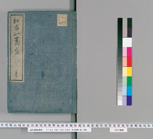 Ten Thousand Japanese Prescriptions, 41 Volumes [1]