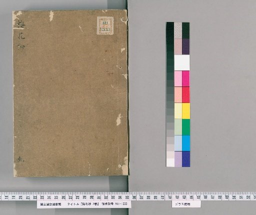 Plum Blossom Notes, Volume 2 [1]