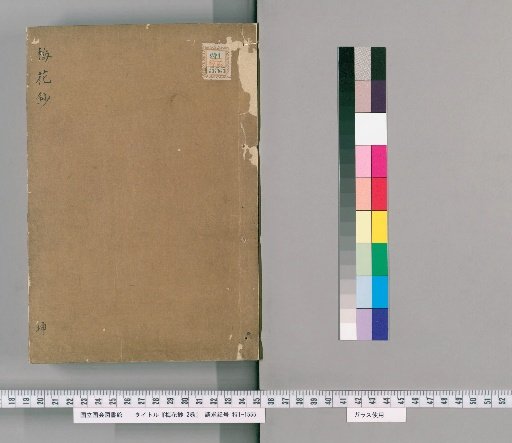 Plum Blossom Notes, Volume 2 [2]
