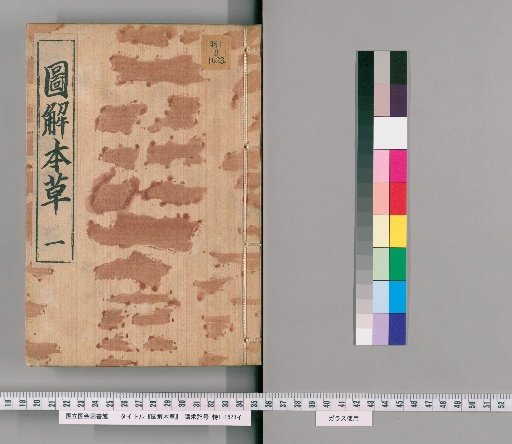 Illustrated Materia Medica, Volume 1