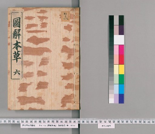 Illustrated Materia Medica, Volume 6