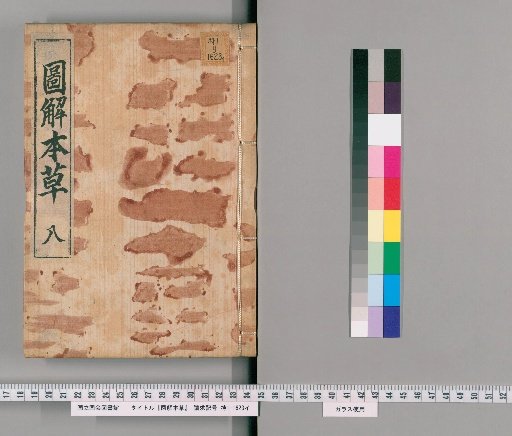 Illustrated Materia Medica, Volume 8