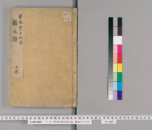 Secret Transmission of Herbal Prescriptions, Volume 2 [1]