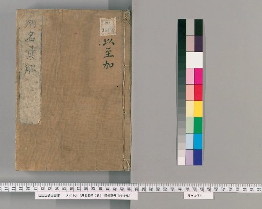 Compilation and Explanation of Disease Names, Volume 7 [1]