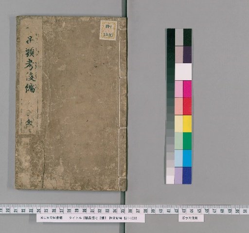 Classification of Fruits and Vegetables of the Fujiwara Family, Part 2 [2]