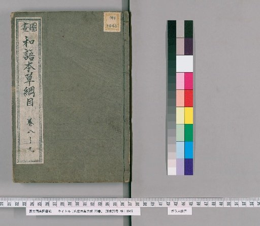 Comprehensive Materia Medica for the Benefit of All, Vol. 23 [5]