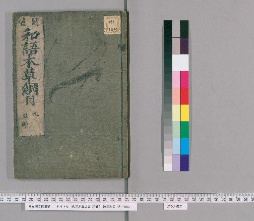 Comprehensive Materia Medica for the Benefit of All, Vol. 23 [9]