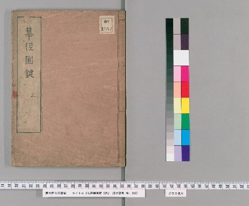 The Key of the Flower Path Residence Garden, Vol. 2 [1]