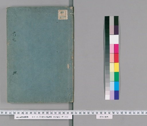 Records of Japanese Materia Medica, Volumes 4-6