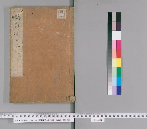 Brief Account of Dutch Plants and Herbs, 3 Volumes [2]