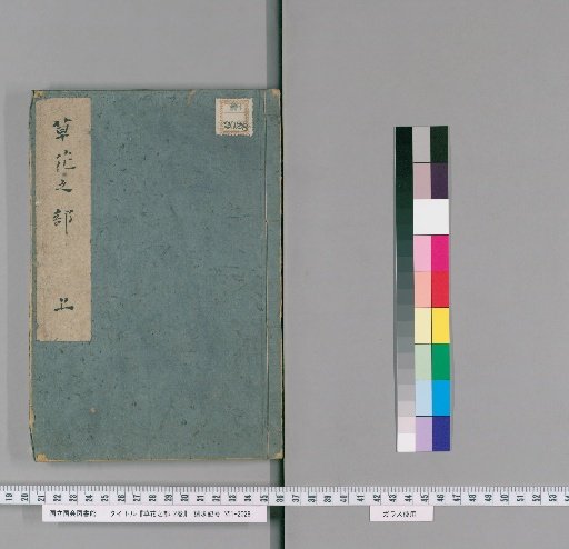 Section on Grass and Flowers, 2 Volumes [1]