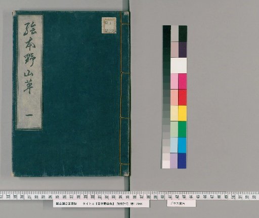 Illustrated Book of Wild Mountain Grass [1]