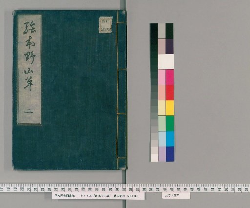 Illustrated Book of Wild Mountain Grass [2]