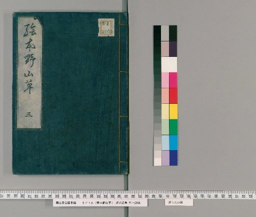 Illustrated Book of Wild Mountain Grass [3]
