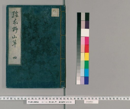 Illustrated Book of Wild Grasses [4]