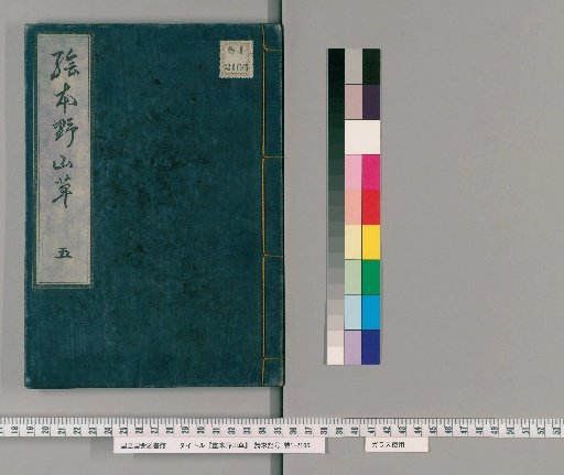 Illustrated Book of Wild Grasses [5]