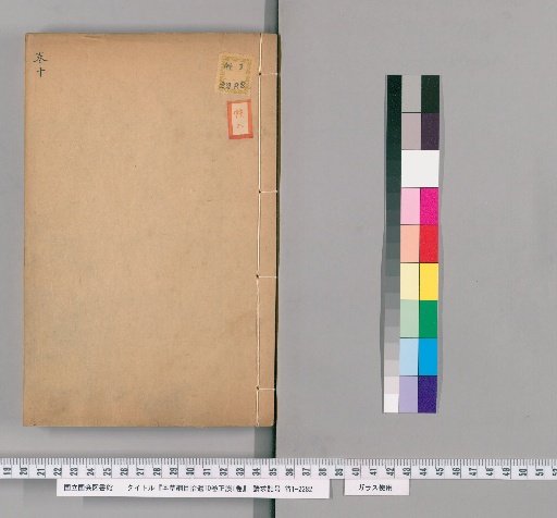 Supplement to the Compendium of Materia Medica, 10 volumes, with Corrections, 1 volume [10]