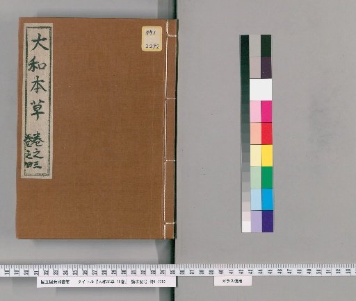 The Japanese Materia Medica, 16 volumes, with Appendix, 2 volumes, and Illustrations of All Items, 2 volumes [2]
