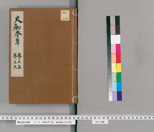 The Japanese Materia Medica, 16 volumes, with Appendix, 2 volumes, and Illustrations of All Items, 2 volumes [3]