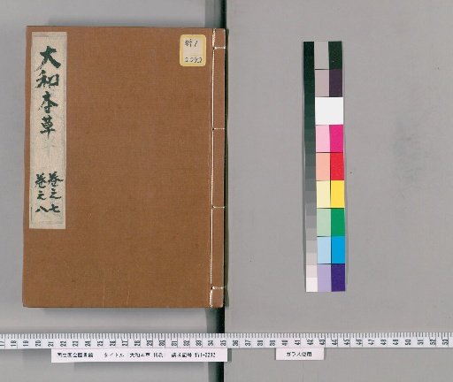 The Japanese Materia Medica, 16 volumes, with Appendix, 2 volumes, and Illustrations of All Items, 2 volumes [4]