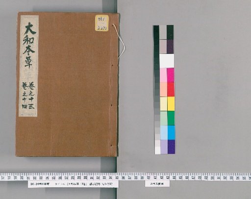 The Japanese Materia Medica, 16 volumes, with Appendix, 2 volumes, and Illustrations of All Items, 2 volumes [7]