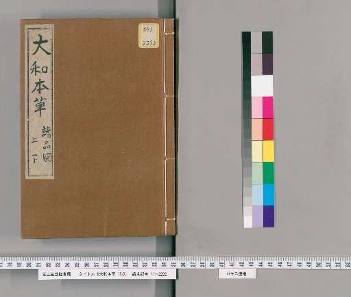 The Japanese Materia Medica, 16 volumes, with Appendix, 2 volumes, and Illustrations of All Items, 2 volumes [10]