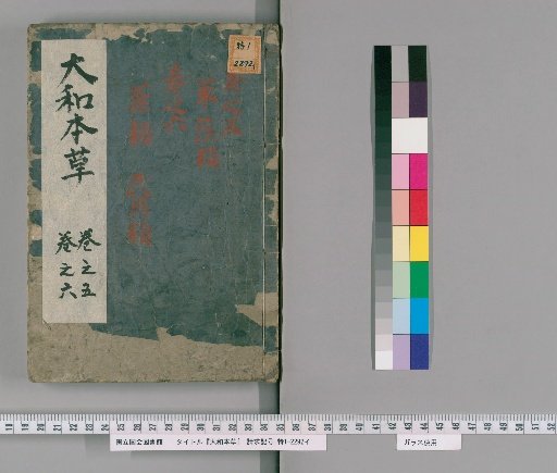 Japanese Compendium of Materia Medica, 16 Volumes with 2 Volumes of Appendix and 2 Volumes of Illustrations, Volumes 5-6