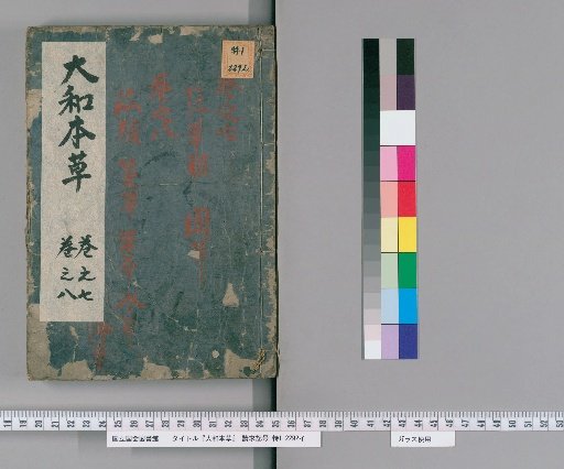 Honcho Yōsō, 16 Volumes with 2 Volumes of Appendix and 2 Volumes of Illustrations, Volumes 7-8