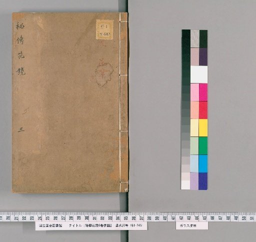 Secretly Transmitted Flower Mirror, 6 Volumes with Illustrations [3]