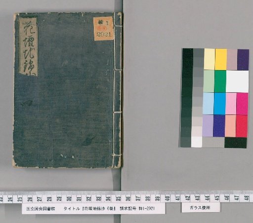 Flower Garden Ground Silk Copy, First Collection [4]
