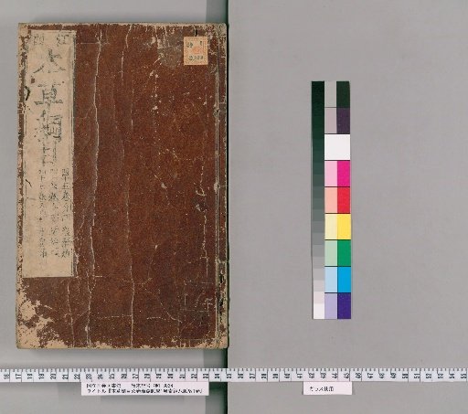 Compendium of Materia Medica in 53 Volumes, Pulse Studies by Binhu in 1 Volume, and Examination of the Eight Extraordinary Vessels in 1 Volume [31]