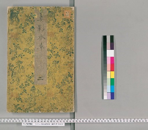 Imperial and Japanese Authentic Herbal, Volume 2
