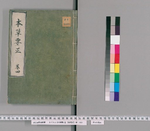 Essential Corrections of Materia Medica, Vol. 4