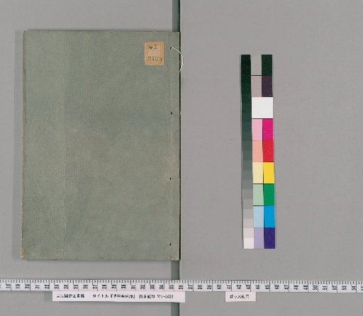 Catalogue of the Society of Natural History [17]