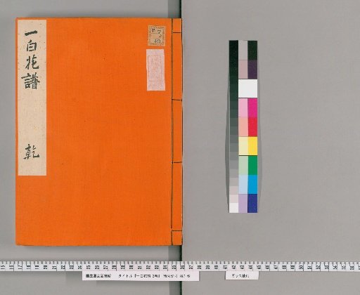 Catalogue of White Flowers, 2 volumes [1]