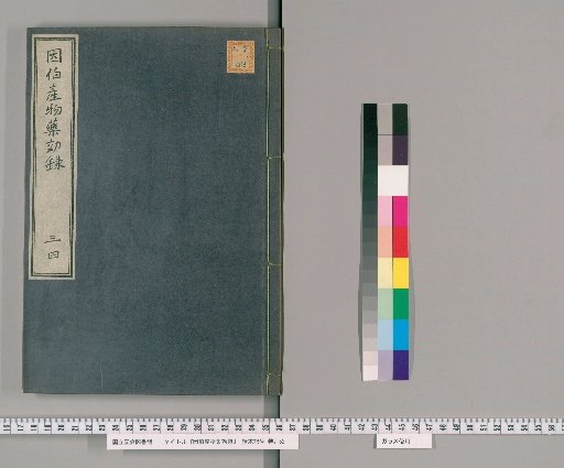 Inbaku Sanbutsu Yakkōroku, Volumes 3-4