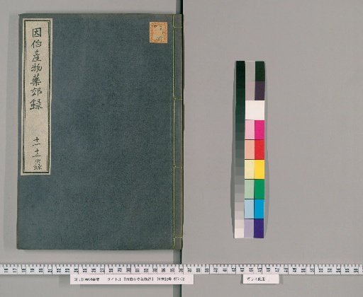 Inbaku Sanbutsu Yakkōroku, Volumes 11-12