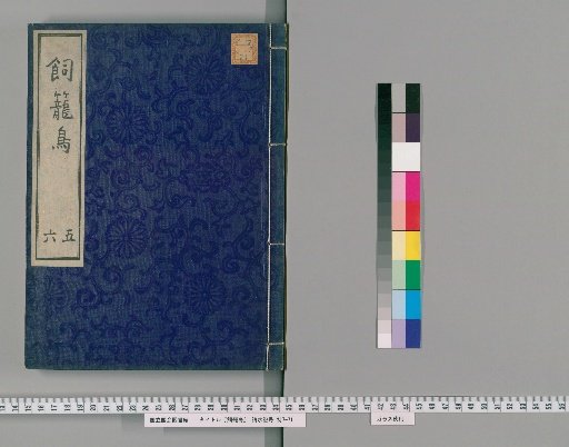 Shirotori, Volumes 5-6