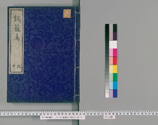 Shirotori, Volumes 9-10